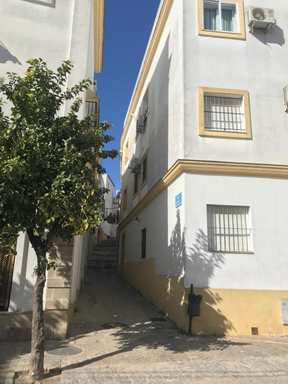Apartamento !!Vive Jerez!! Jerez de la Frontera Dış mekan fotoğraf