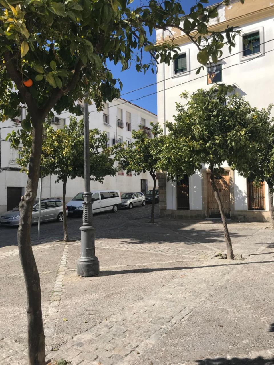 Apartamento !!Vive Jerez!! Jerez de la Frontera Dış mekan fotoğraf